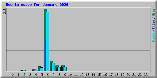 Hourly usage for January 2026